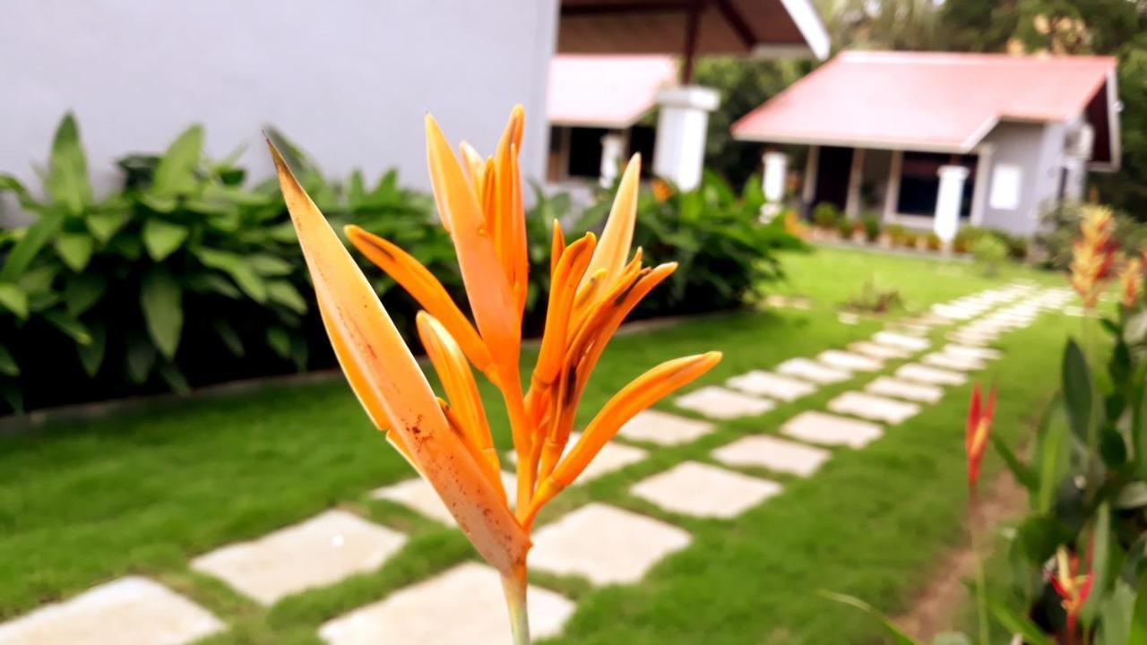 Arcadia Resort Alibaug Alībāg Exterior foto
